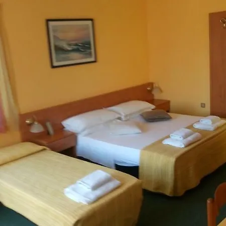 Guest house Aleksei 3*